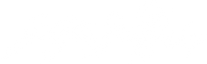 seeyouspacecowboy